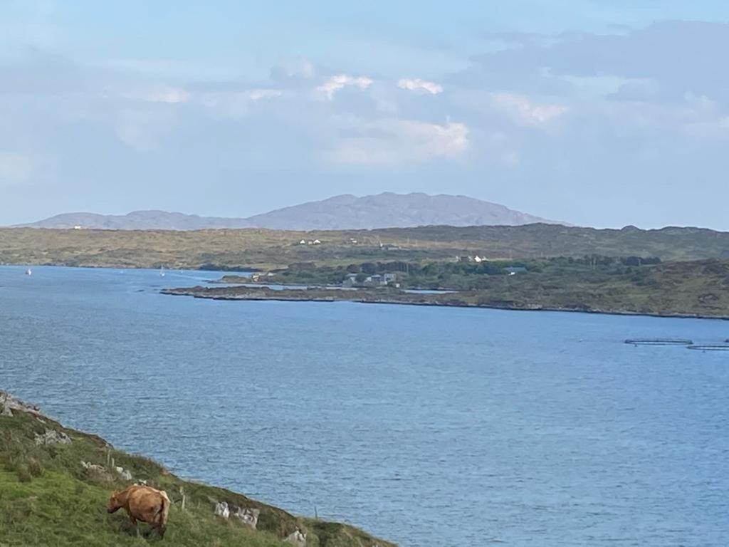 Racecourse Lodge Apartment Clifden Kültér fotó